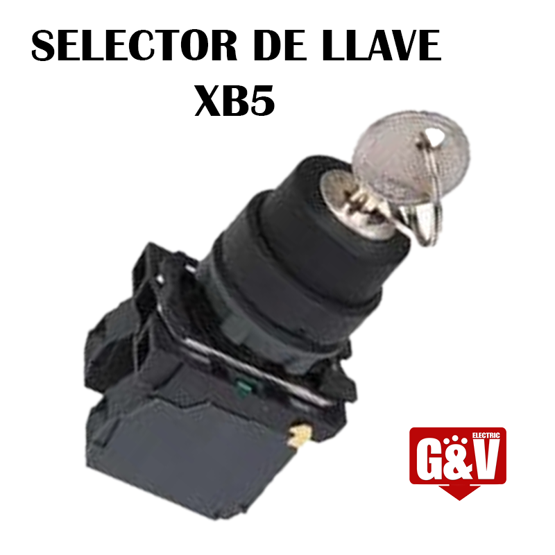 XB5-AG21 SELECTOR