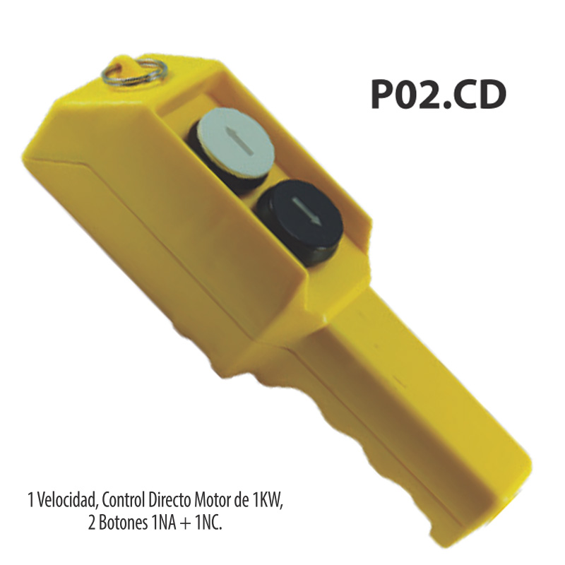 P02-CD