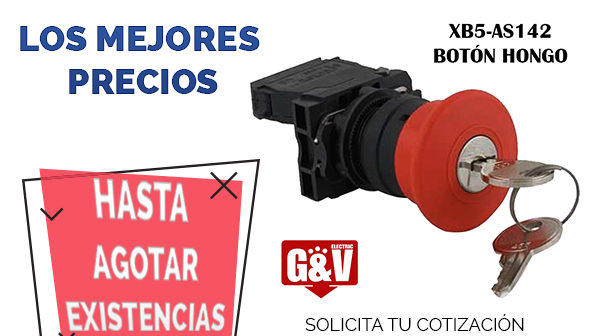 Botón hongo con llave XB5-AS142